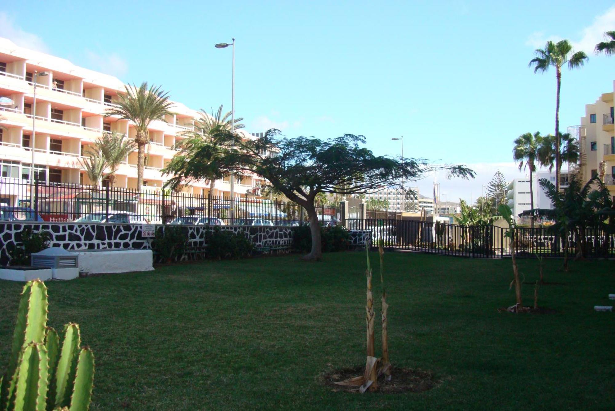 Los Cactus Playa del Inglés Exteriör bild